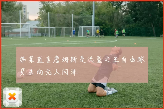 弗莱直言詹姆斯是流量之王自由球员去向无人问津